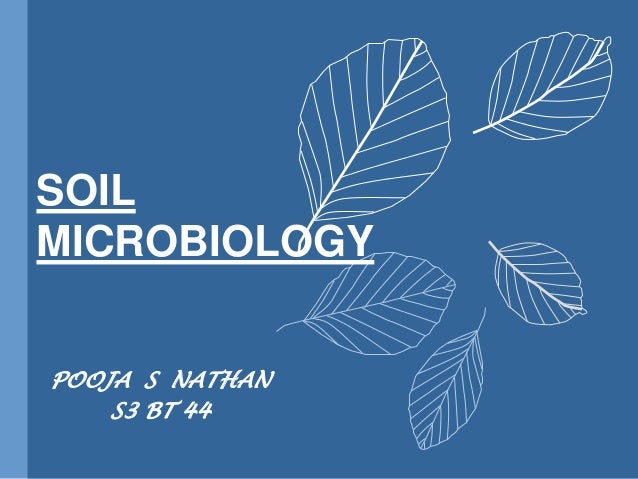 SLU and the greenhouse gas inventory